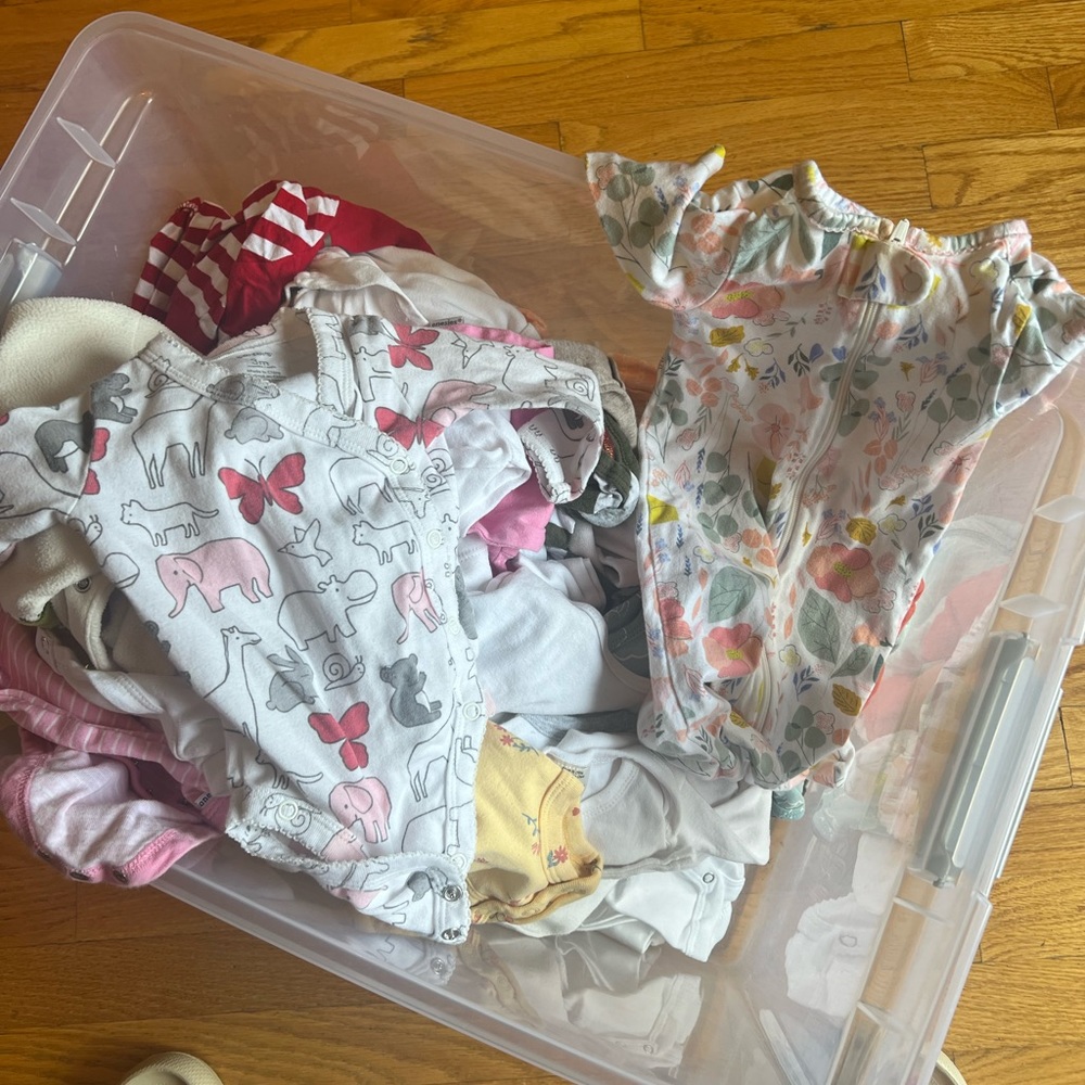 Bundle of Baby Girl clothes 3-6 months 30 items